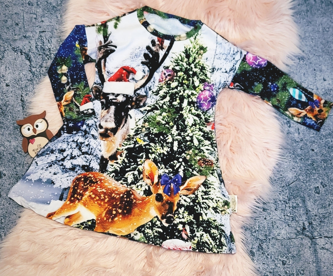 3-4 Years Winter Wonderland Long Sleeve Tshirt Dress Christmas Scene Reindeer